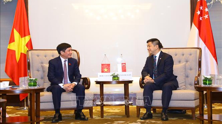 Singapore parliament speaker expects more Vietnam – Singapore exchanges